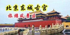 美女调教喷水视频中国北京-东城古宫旅游风景区